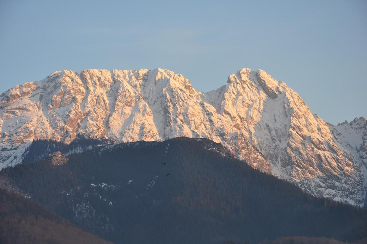 Willa Bystry, Pod Nosalem Zakopane Exterior photo