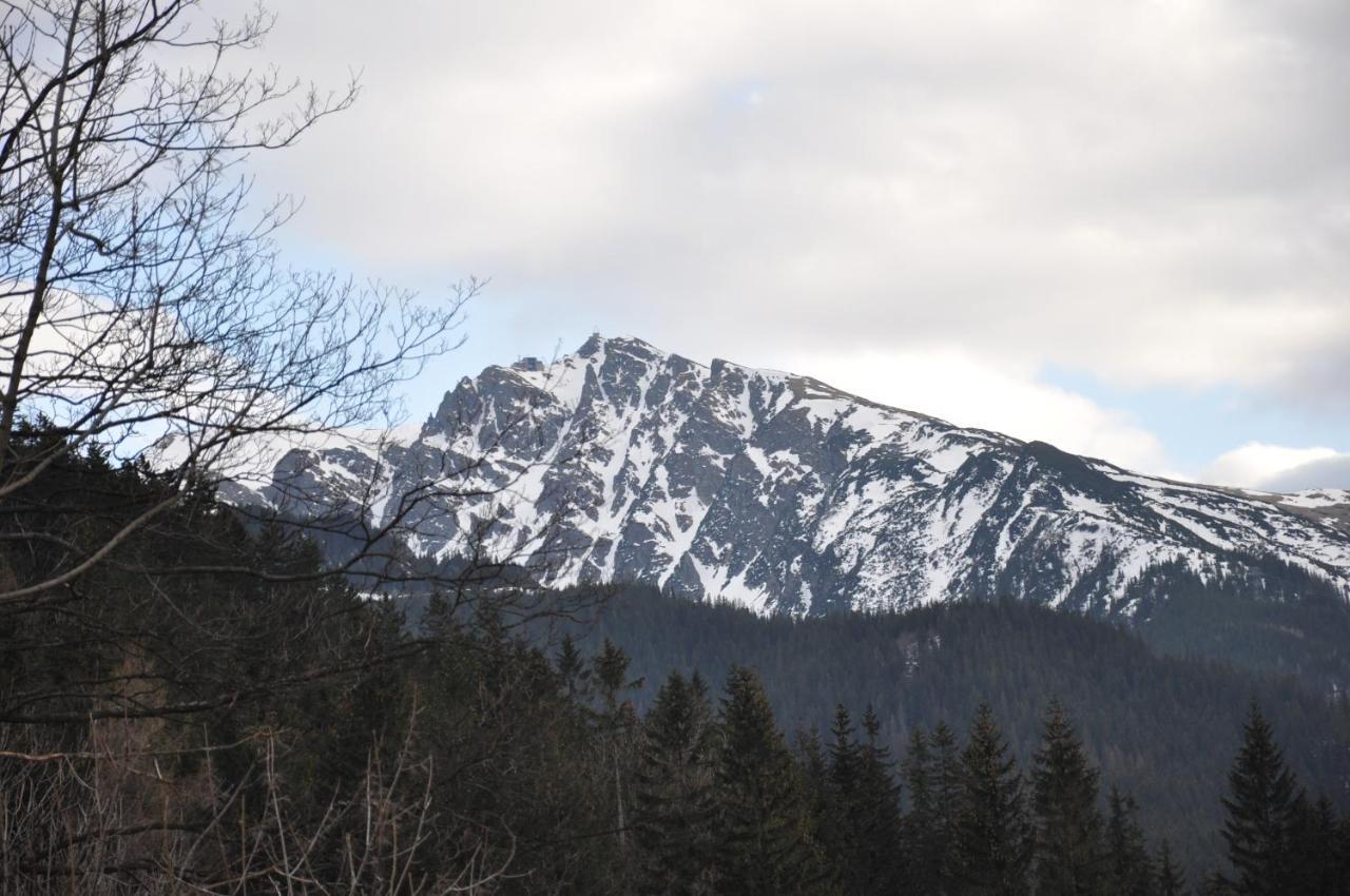 Willa Bystry, Pod Nosalem Zakopane Exterior photo
